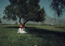 Peigne à cachemire : accessoire entretien Bompard d'occasion